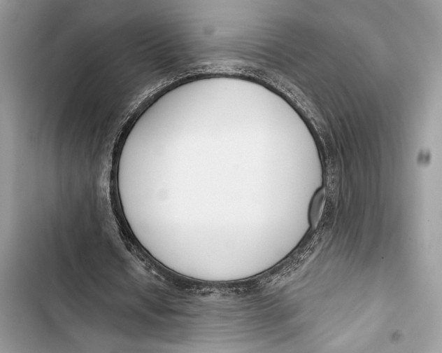 X0000103460434200810031501