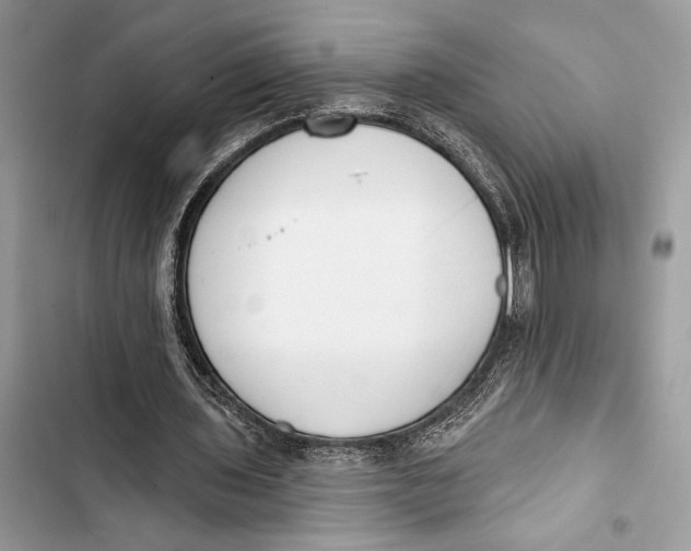 X0000103460435200810031501