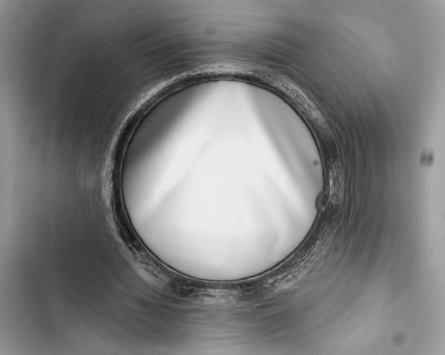 X0000103460436200810031501