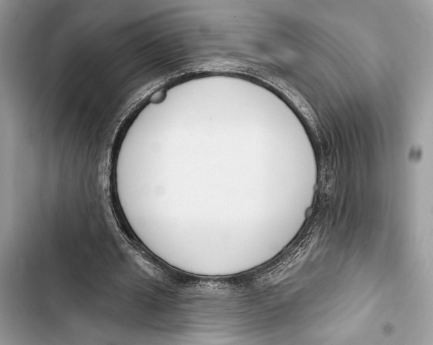 X0000103460437200810031501