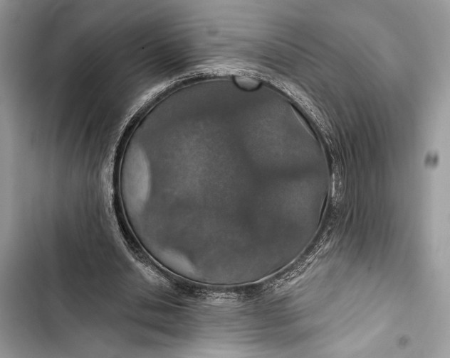 X0000103460438200810031501