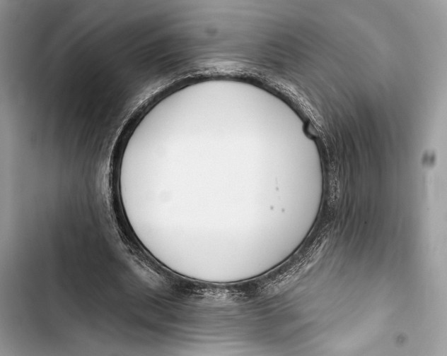 X0000103460439200810031501