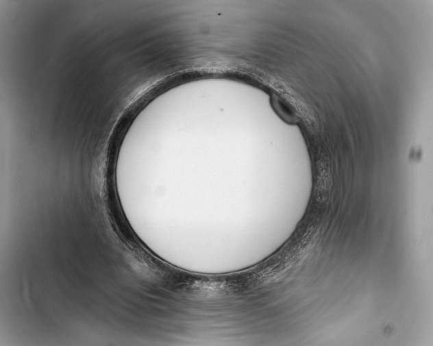 X0000103460440200810031501