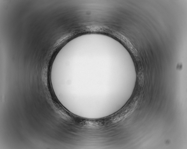 X0000103460442200810031501