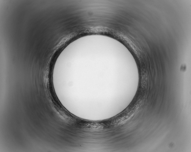 X0000103460443200810031501