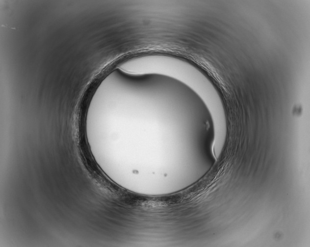 X0000103460444200810031501