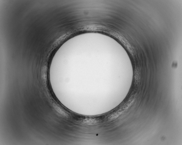 X0000103460445200810031501