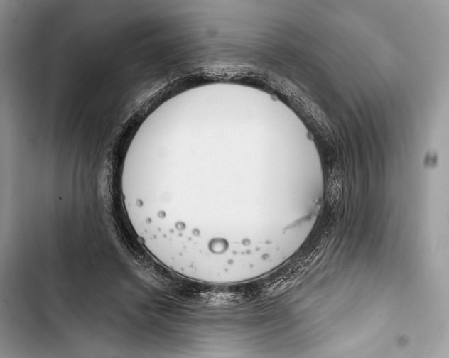 X0000103460448200810031502