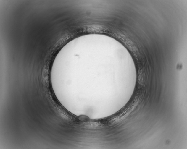 X0000103460449200810031502