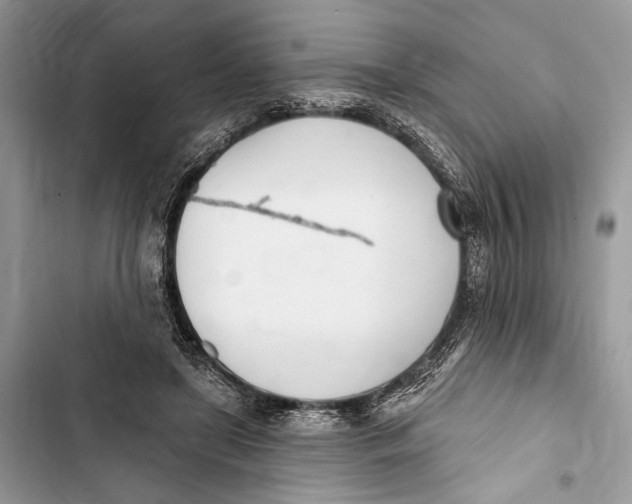 X0000103460451200810031502