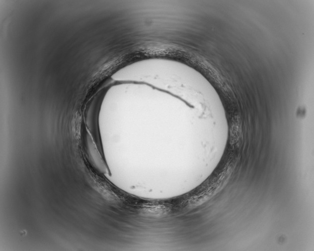 X0000103460454200810031502