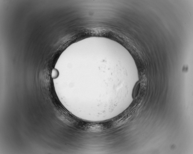 X0000103460456200810031502