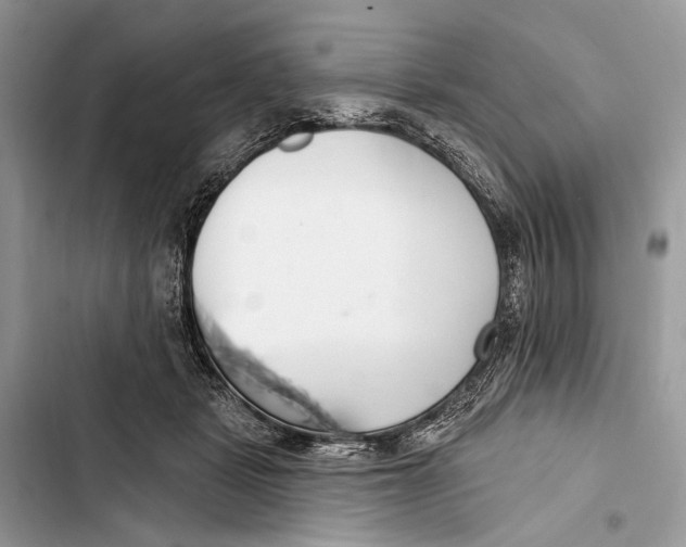 X0000103460461200810031502