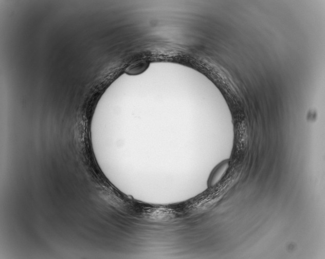 X0000103460463200810031502