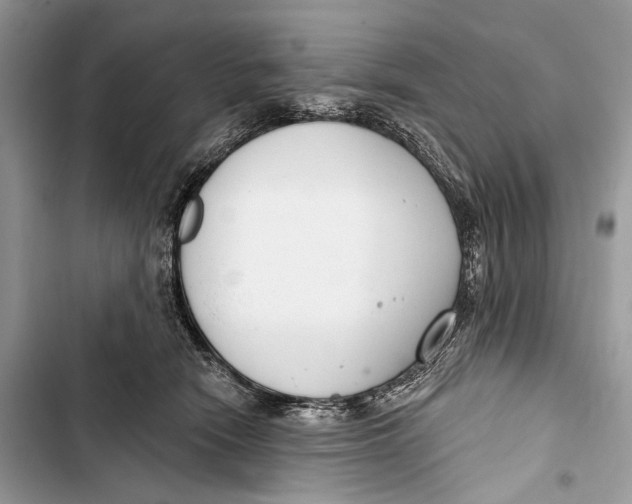 X0000103460466200810031502