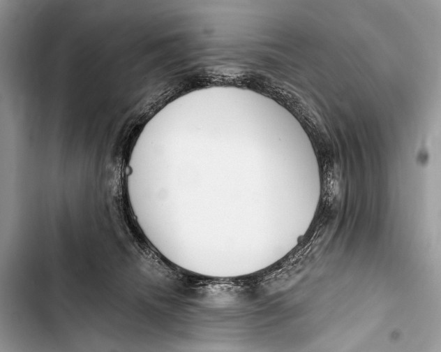 X0000103460468200810031502