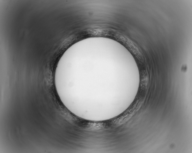 X0000103460469200810031502