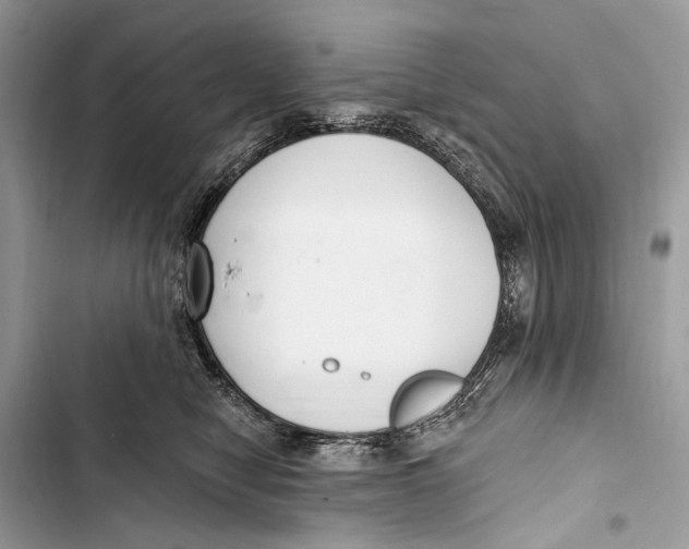 X0000103460470200810031502