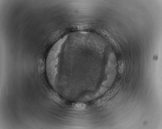 X0000103460471200810031502