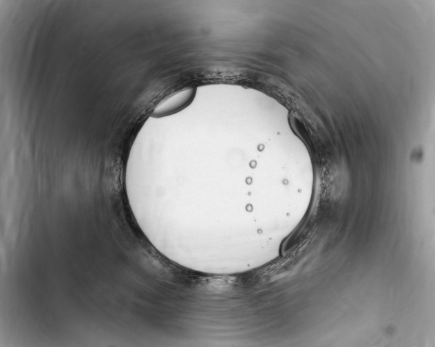 X0000103460474200810031502