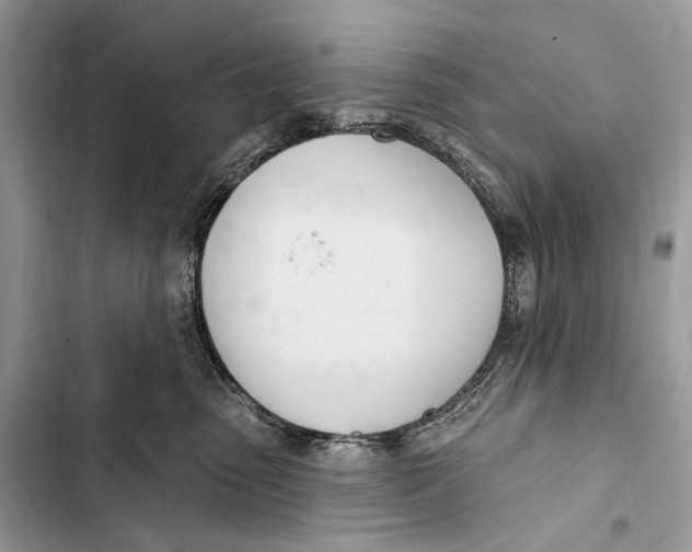 X0000103460475200810031502