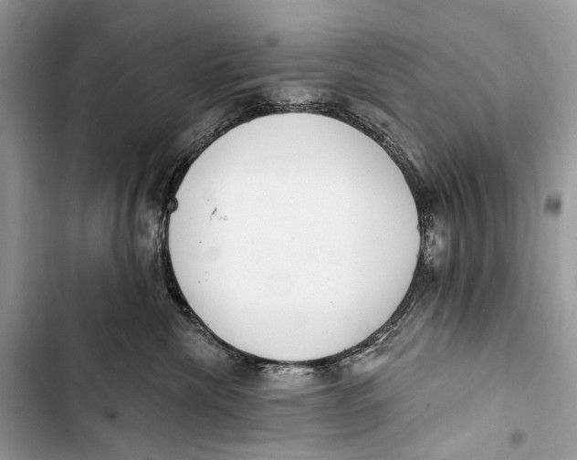 X0000103460476200810031502