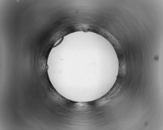 X0000103460477200810031502