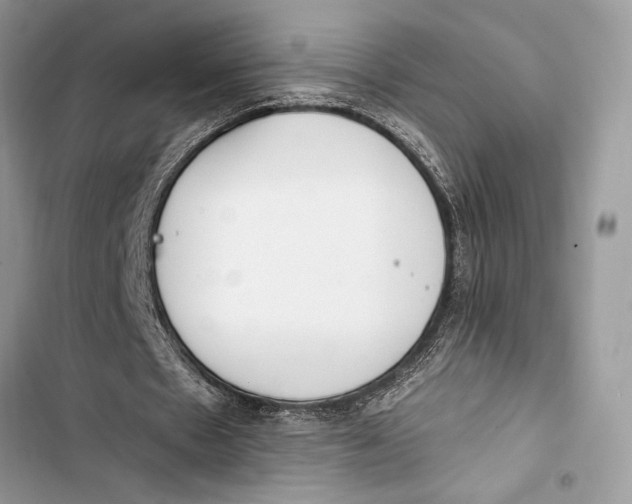 X0000103460481200810031501