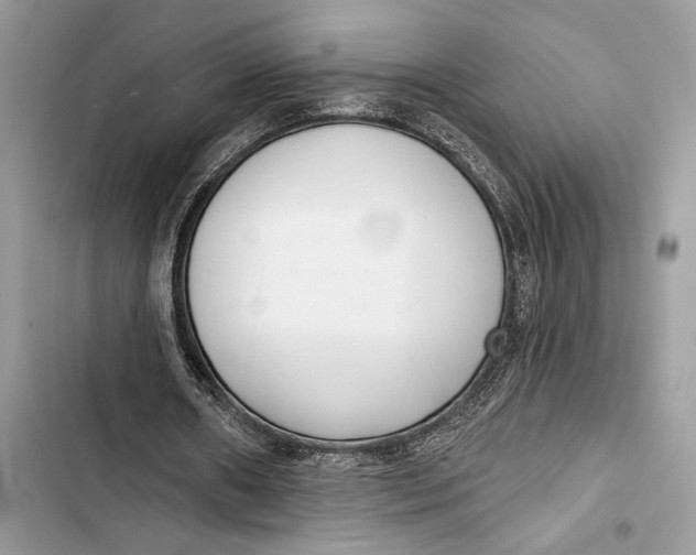 X0000103460482200810031501