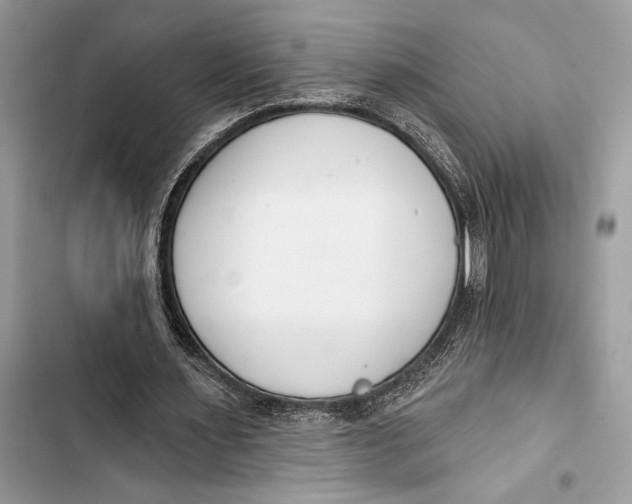 X0000103460483200810031501