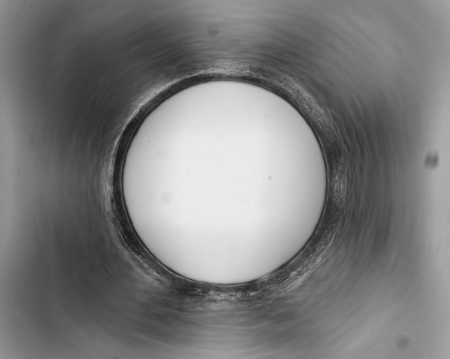 X0000103460484200810031501