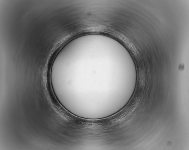 X0000103460486200810031501