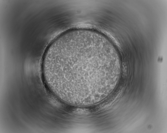 X0000103460487200810031501