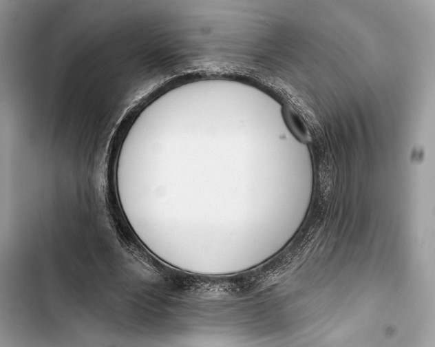 X0000103460488200810031501