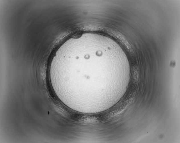 X0000103460491200810031501