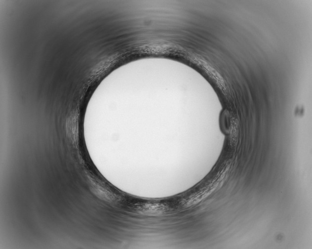 X0000103460493200810031501