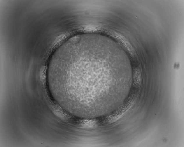 X0000103460495200810031501