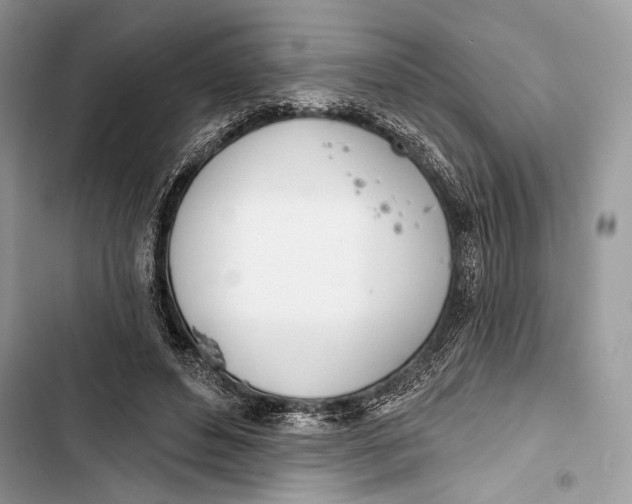 X0000103460496200810031501