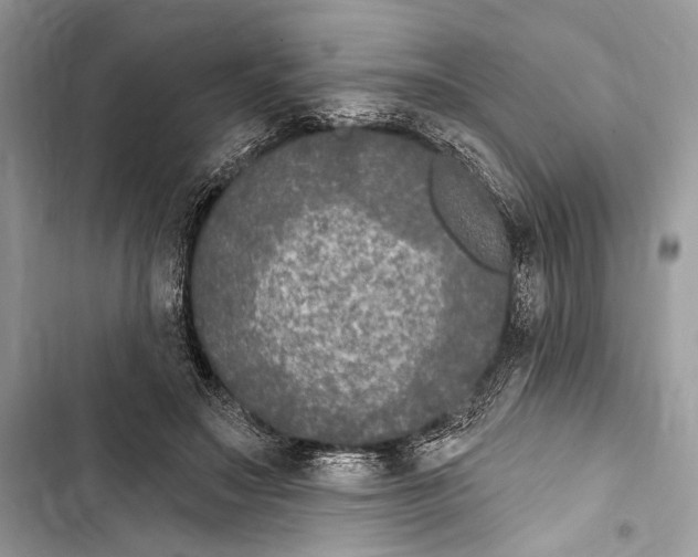 X0000103460499200810031501