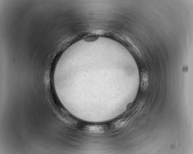 X0000103460500200810031501