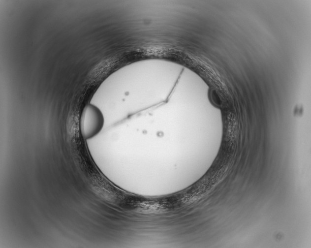 X0000103460502200810031501