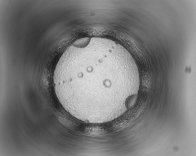 X0000103460503200810031501