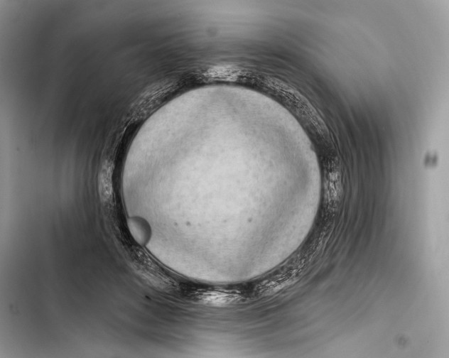 X0000103460504200810031501