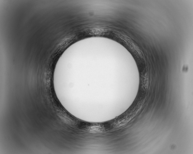 X0000103460505200810031501