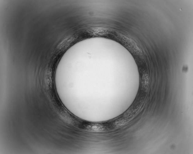 X0000103460506200810031501