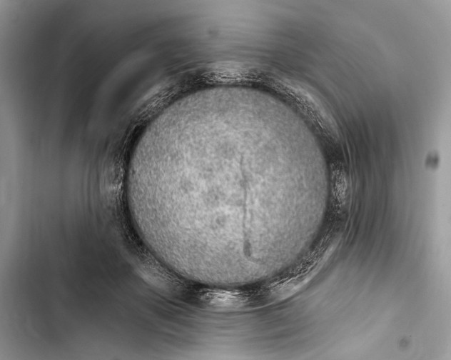 X0000103460507200810031501