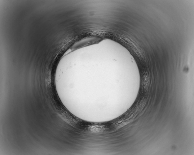 X0000103460508200810031501