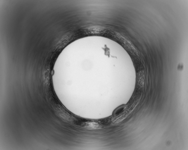 X0000103460509200810031501