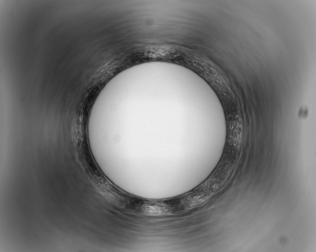 X0000103460510200810031501