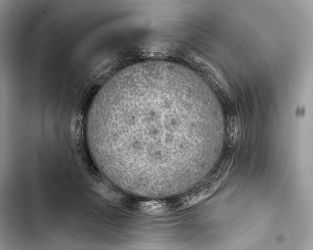 X0000103460511200810031501